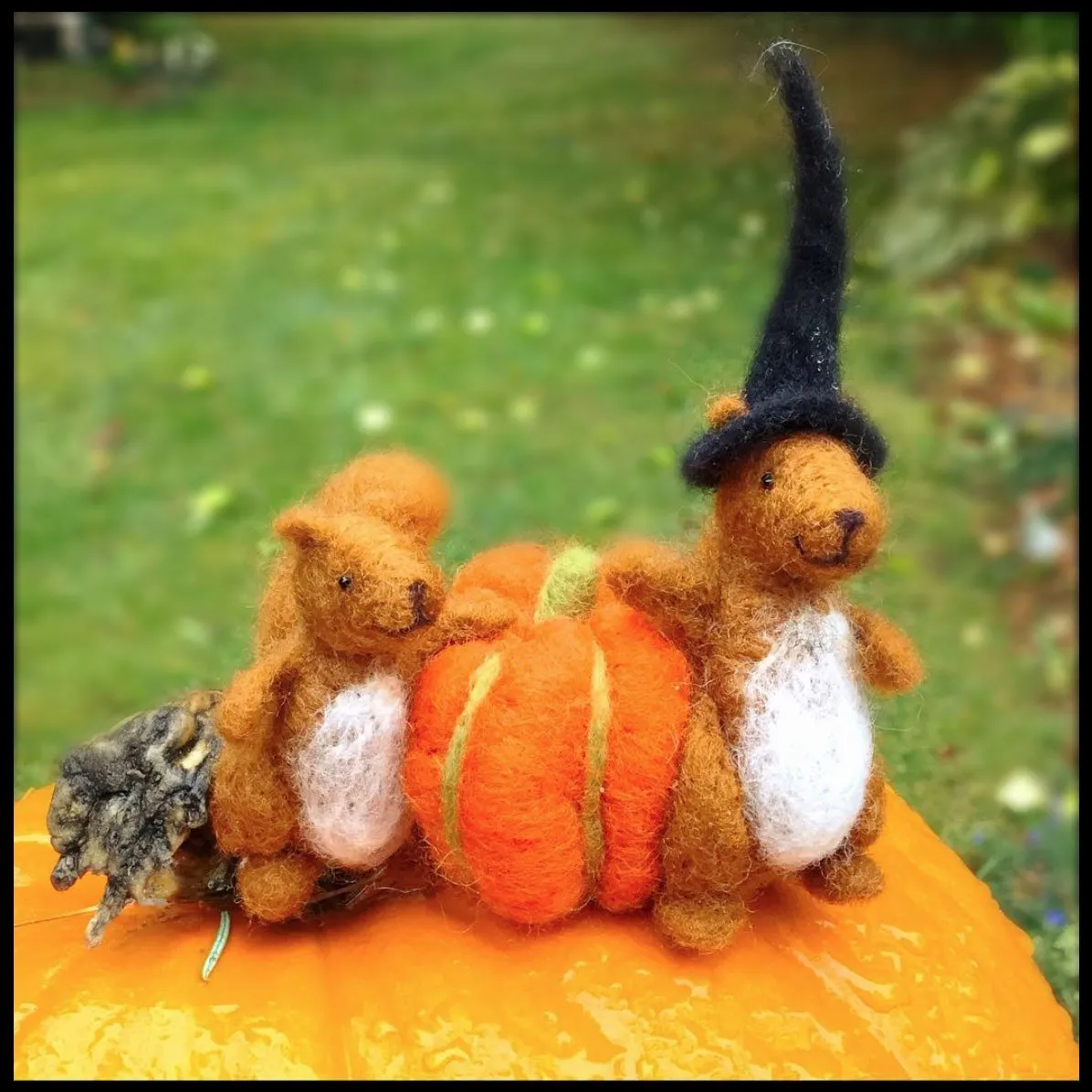 Squirrel Needle Felting Kit